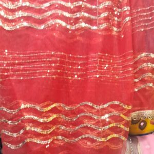 Net dupatta