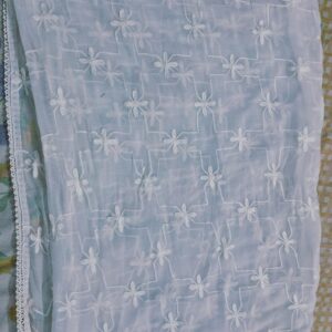 White Chiffon Embroidery Dupatta