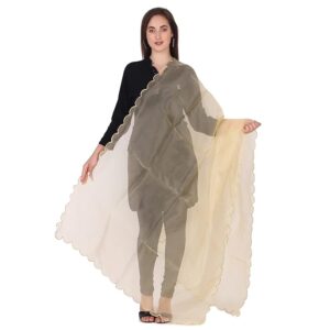 Women's Organza Fabric Cut-Work Border Dupatta